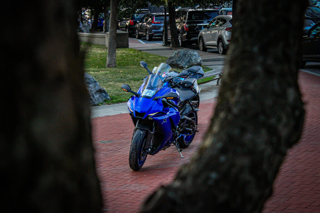 r6.scottie-ODonnell-Collective